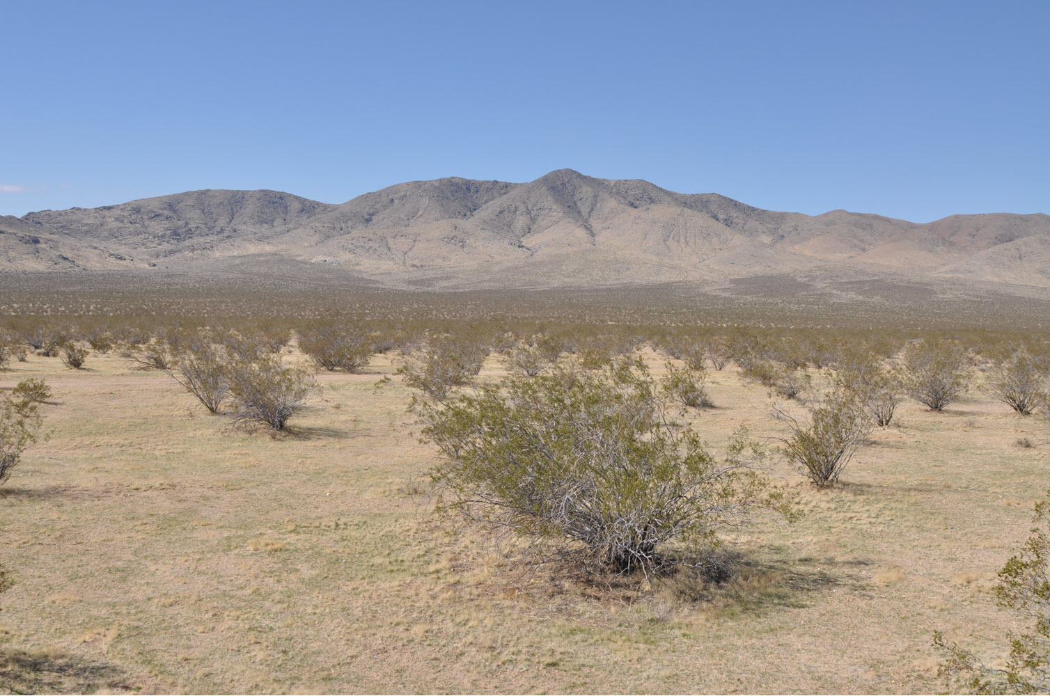 20 Acres Vacant Land, Lucerne Valley