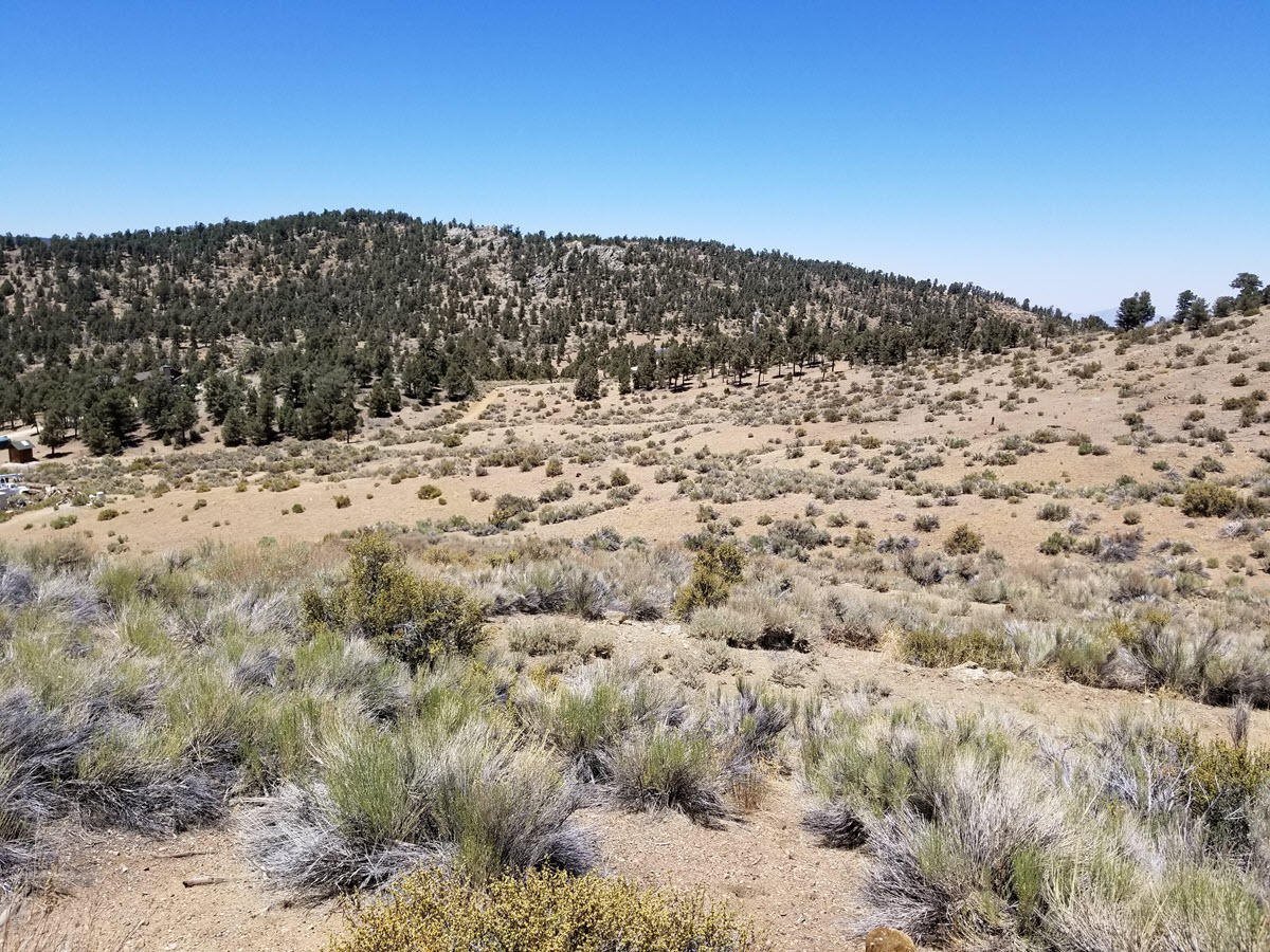 Baldwin Lake, San Bernardino County – .59 Acres