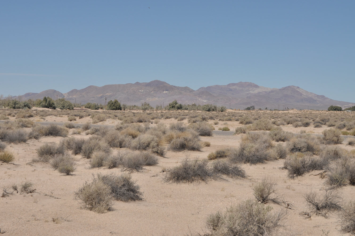 10 Acres, Newberry Springs
