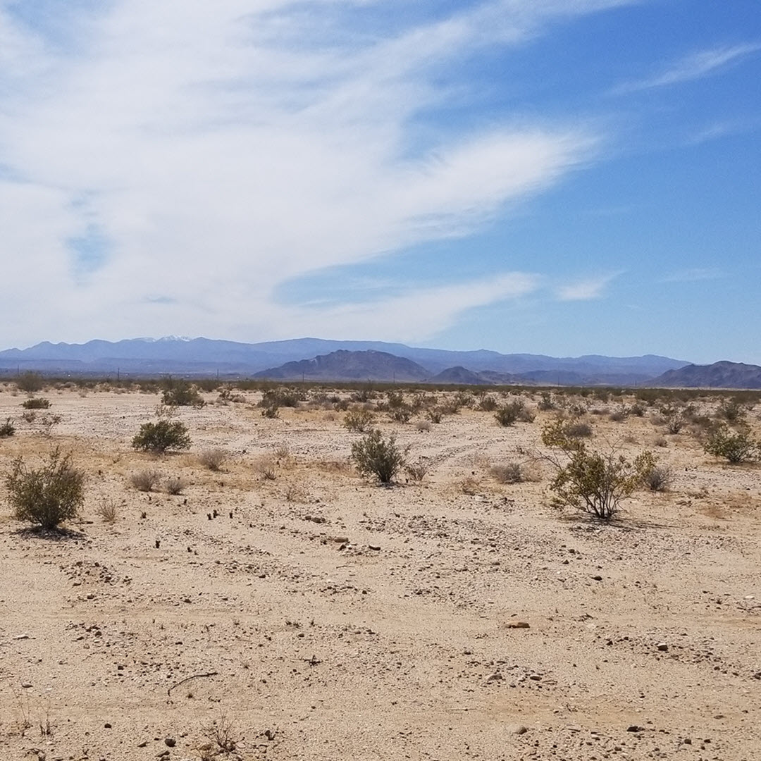1.25 Acres, Twentynine Palms