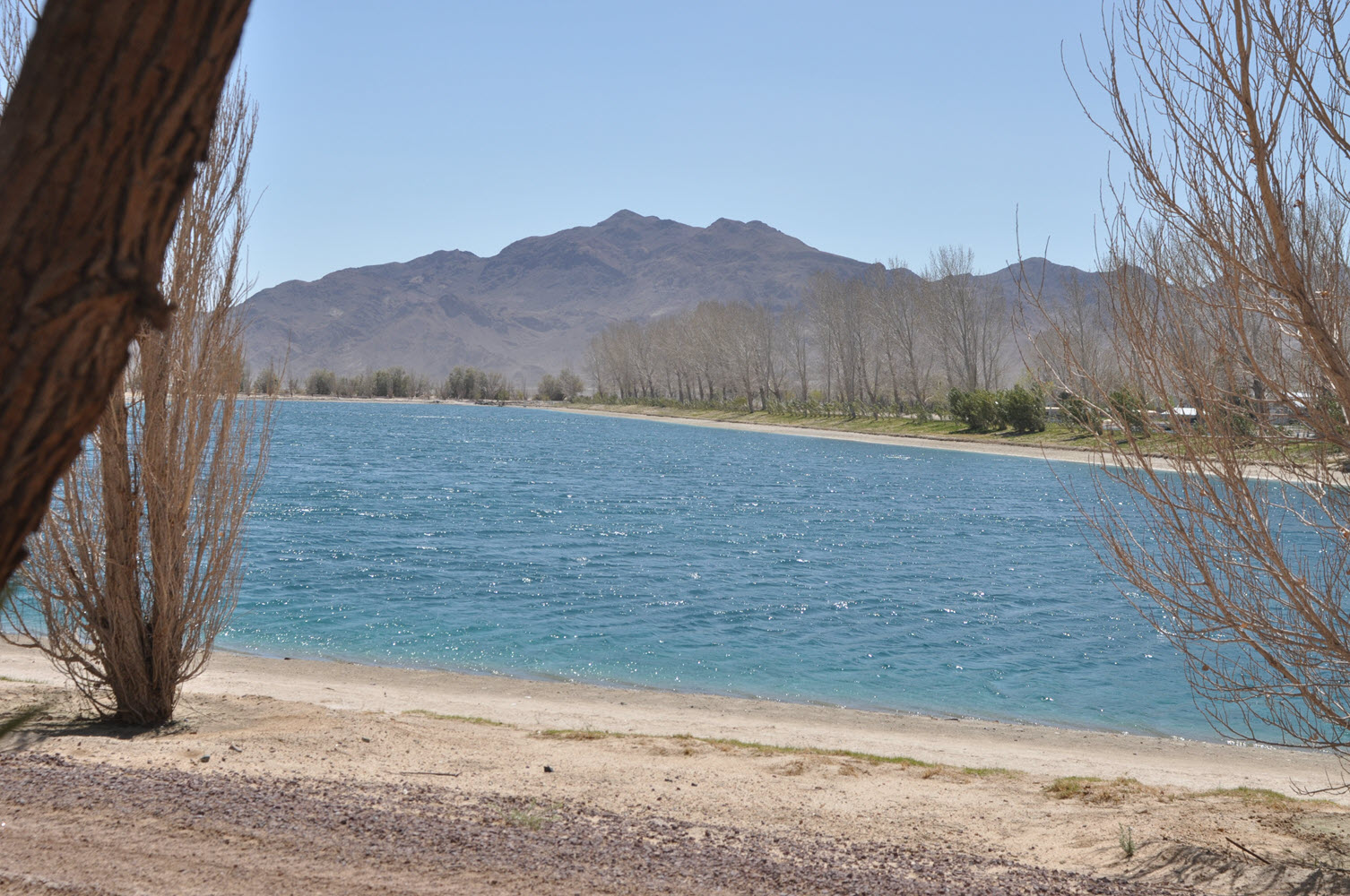 10 Acres, Newberry Springs