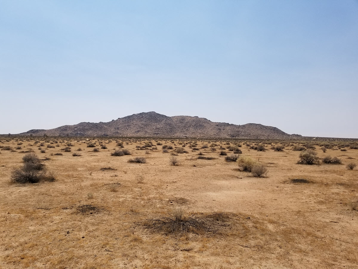 ImageOfProperty_2_046103507 10 Acres, El Mirage