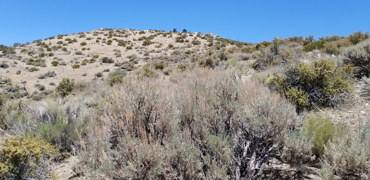 Baldwin Lake, San Bernardino County – .59 Acres