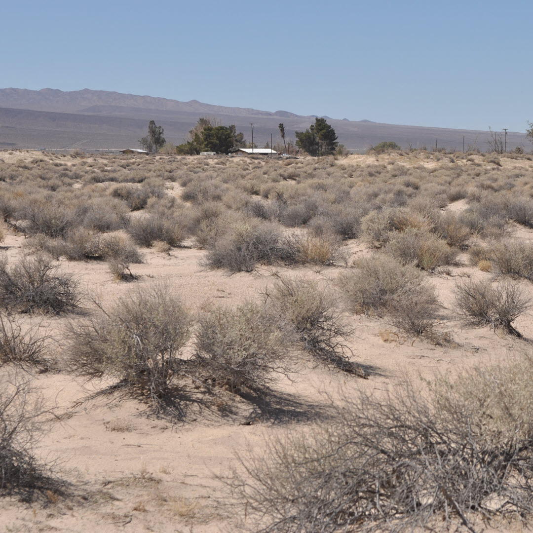 10 Acres, Newberry Springs