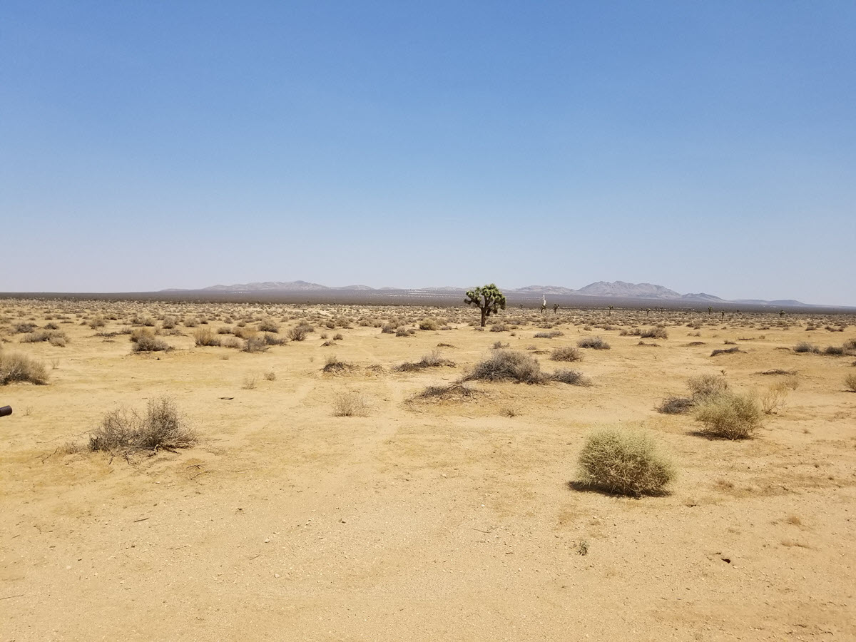 ImageOfProperty_3_046103507 10 Acres, El Mirage