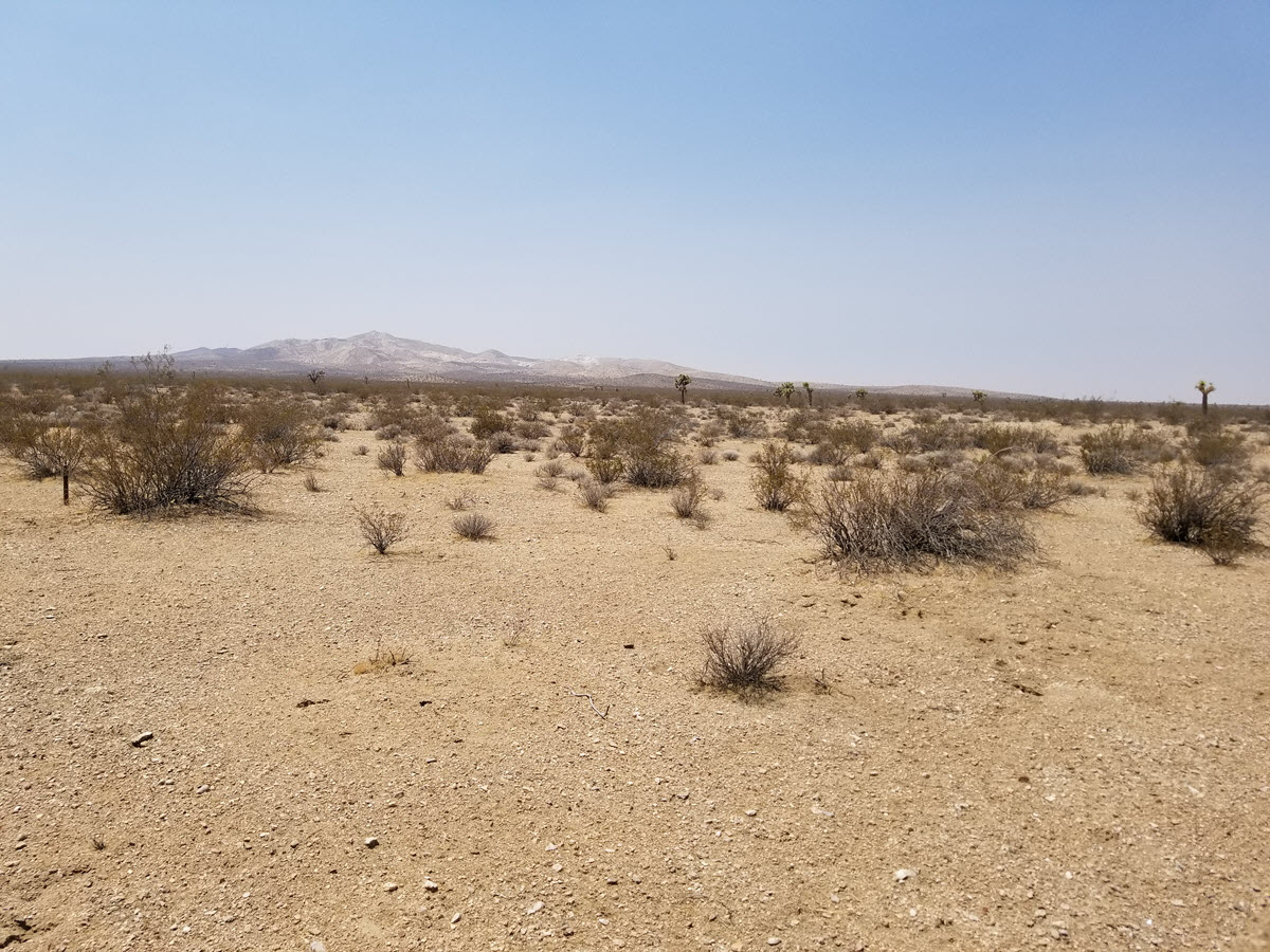 23 Acres Vacant Land, Helendale/Adelanto area