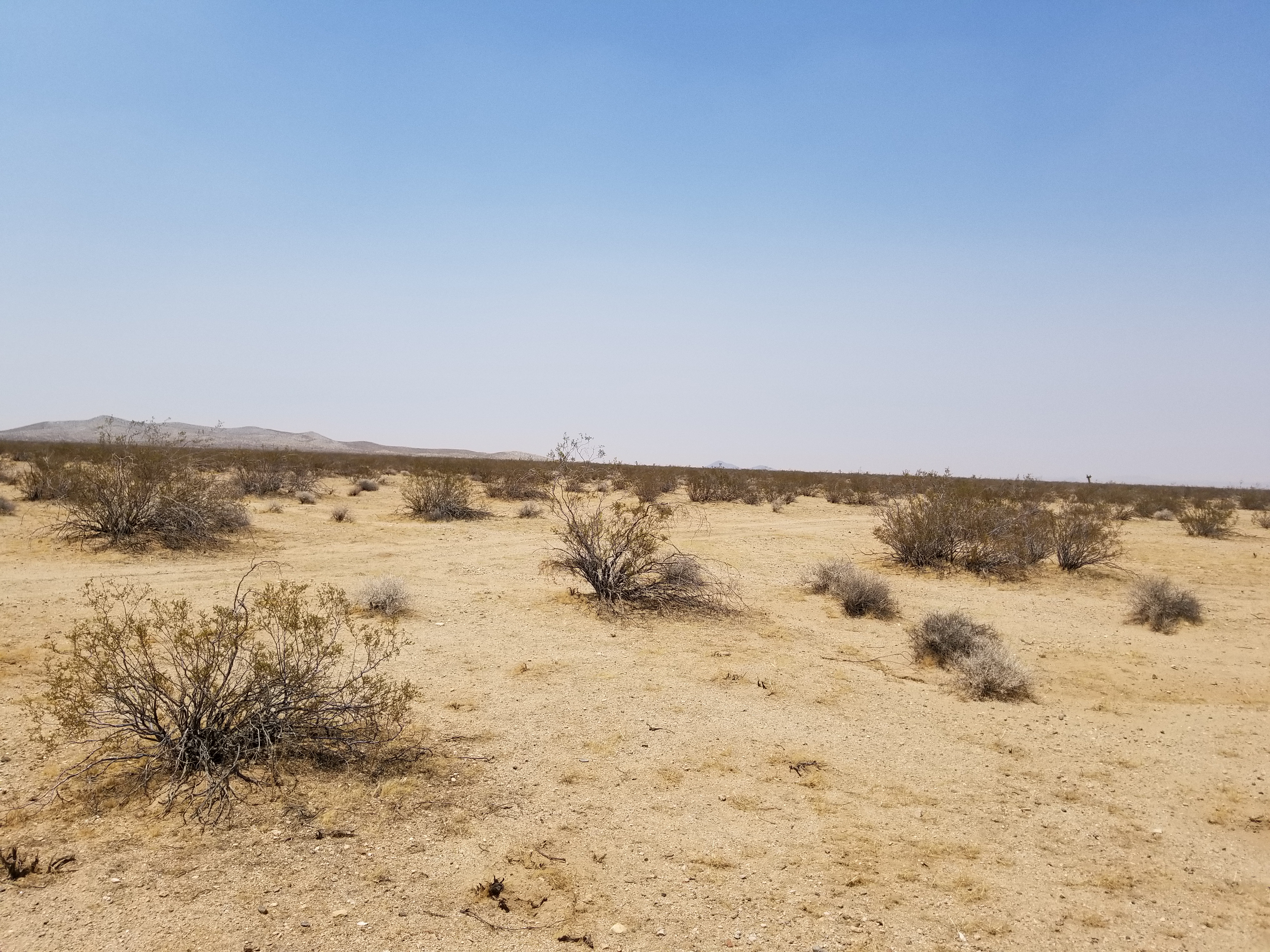 10 Acres Vacant Land, Helendale/Adelanto area