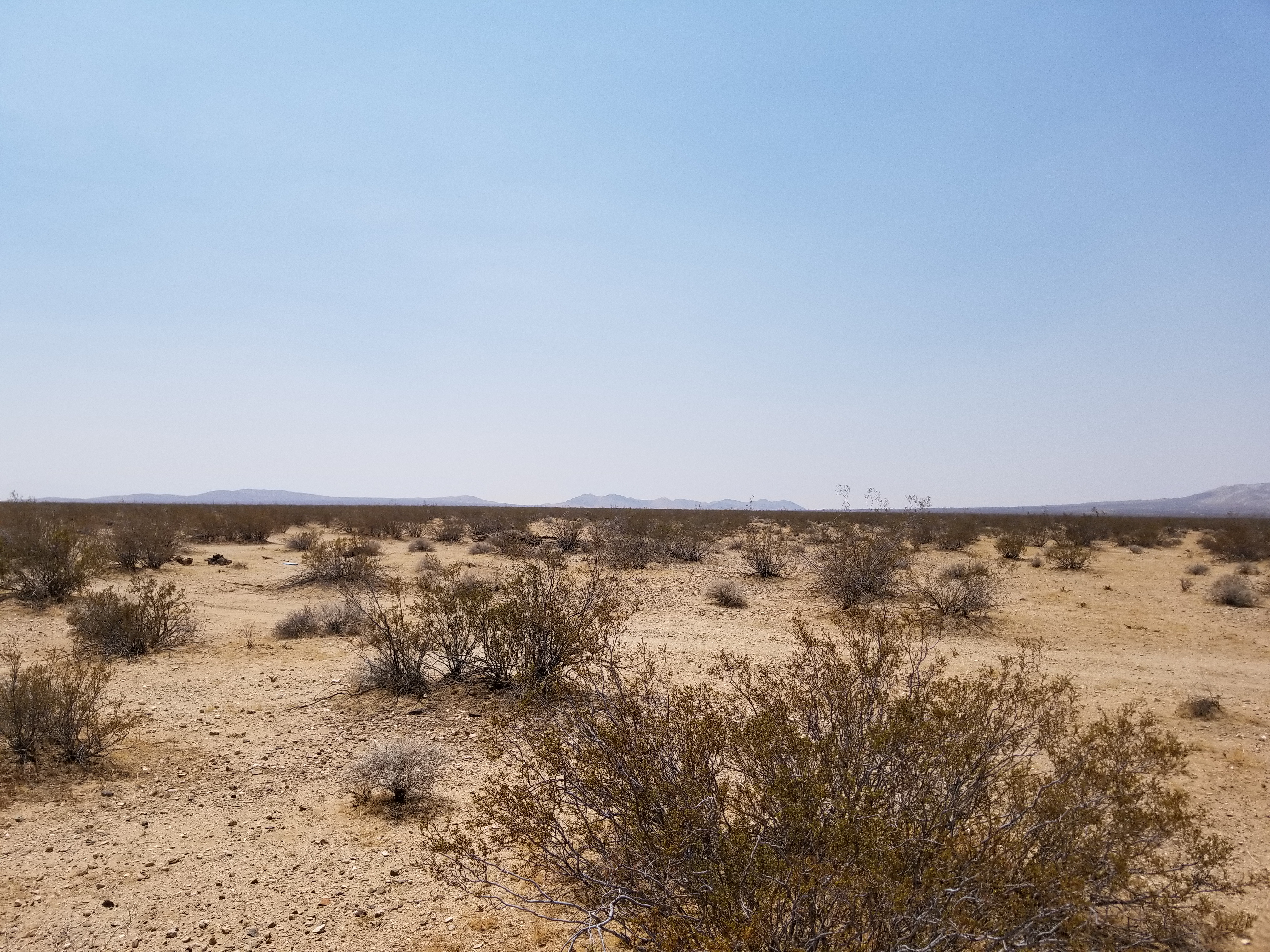 ImageOfProperty_3_046254119 10 Acres Vacant Land, Helendale/Adelanto area