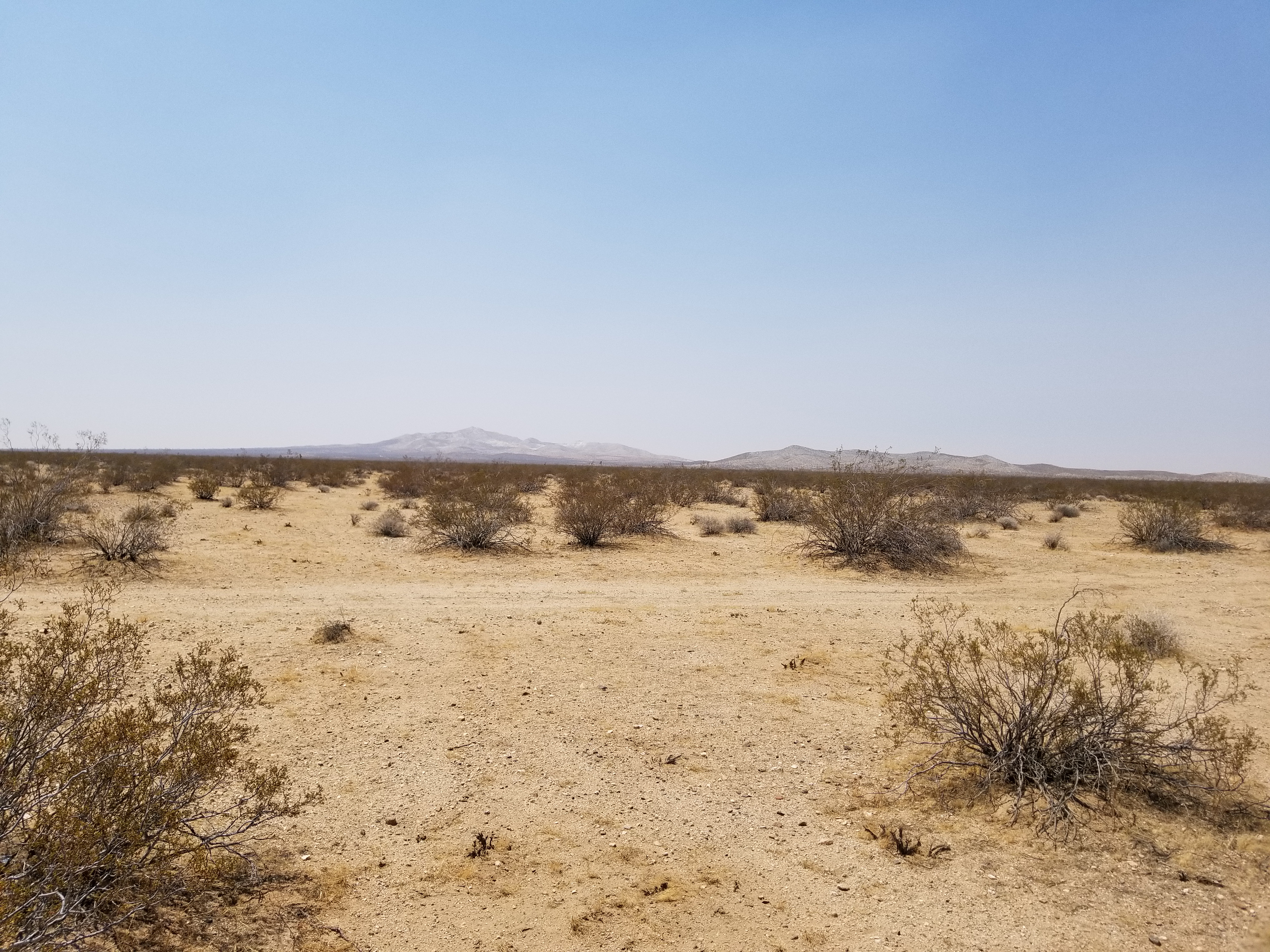 ImageOfProperty_4_046254119 10 Acres Vacant Land, Helendale/Adelanto area