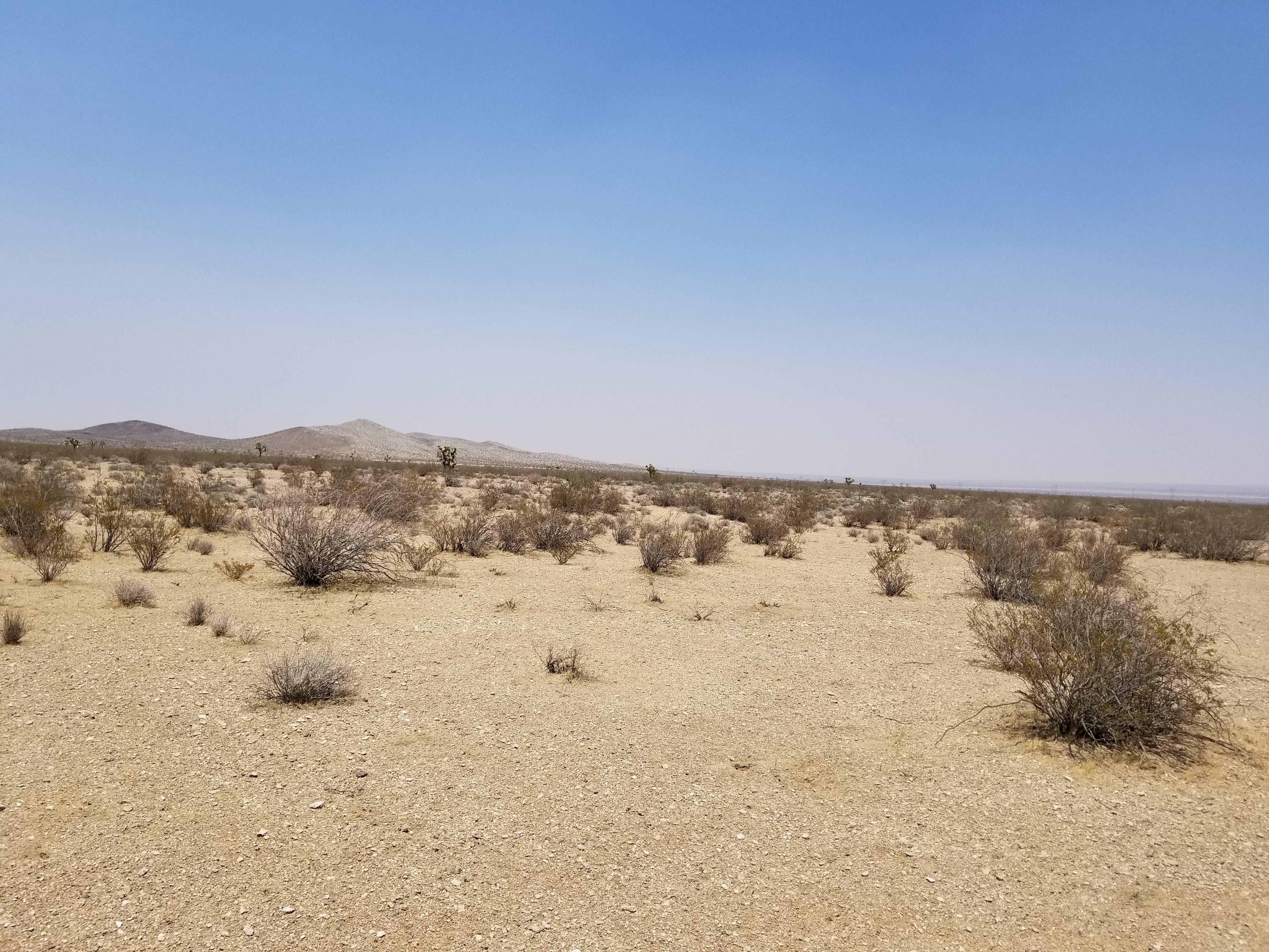 23 Acres Vacant Land, Helendale/Adelanto area