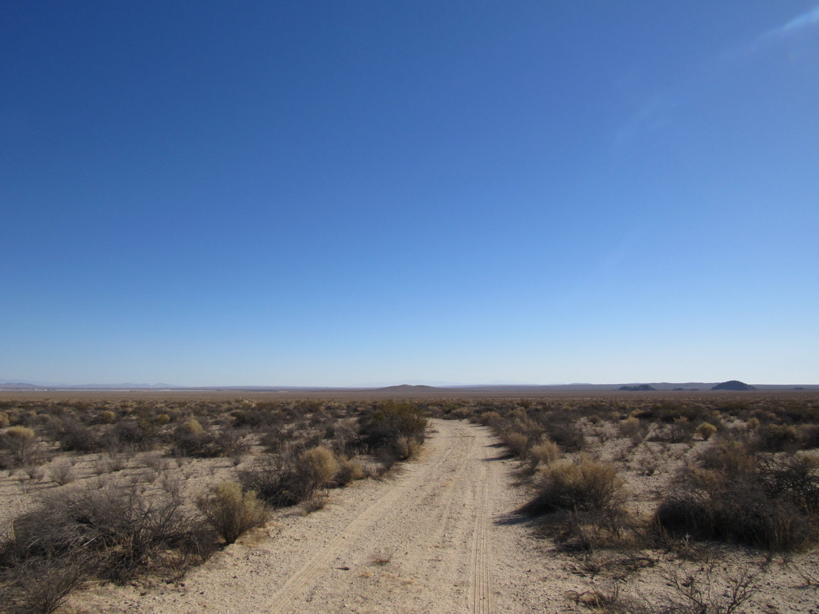 11 Acres, North of Lockhart
