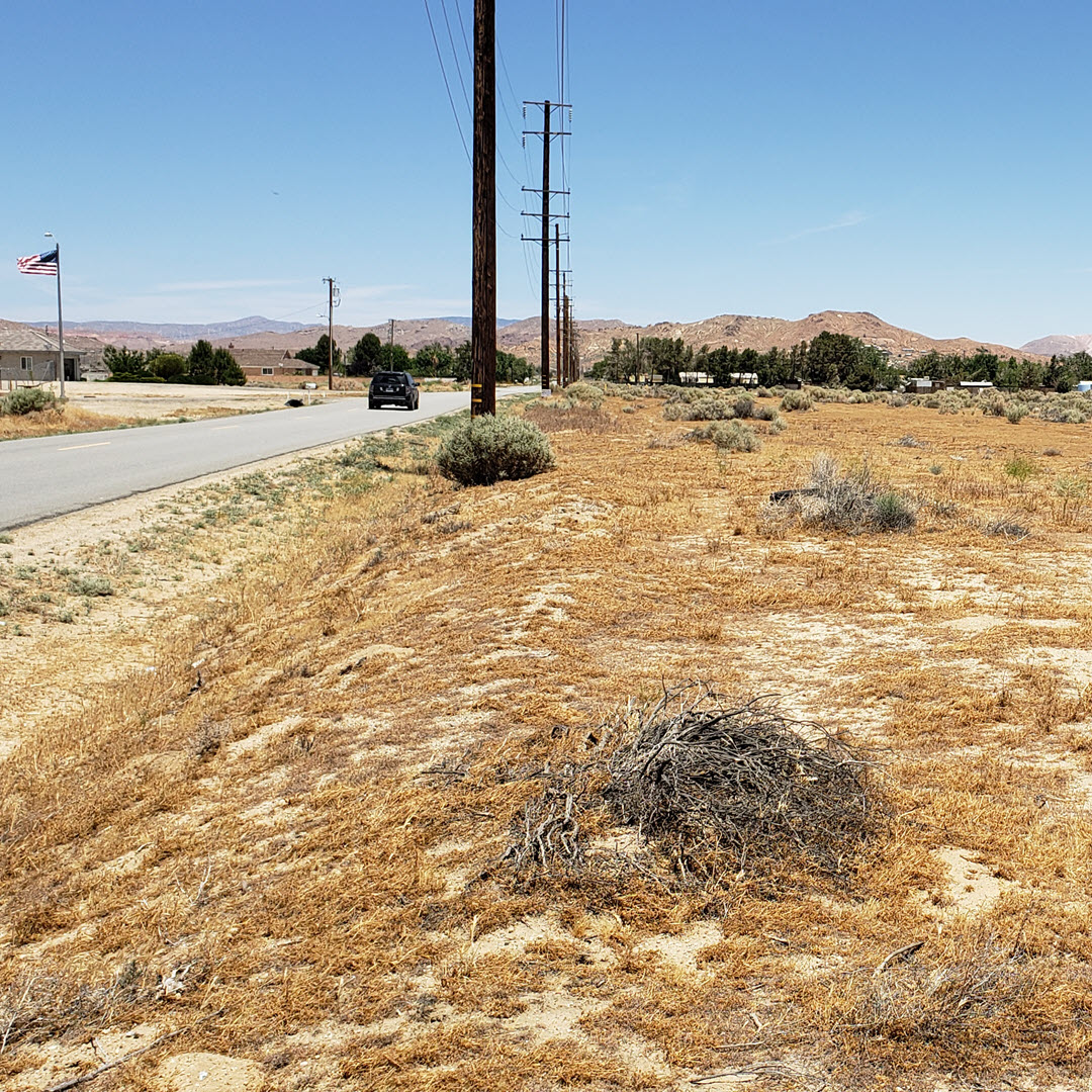 9.2 acres in Rosamond Utilities Nearby (video)