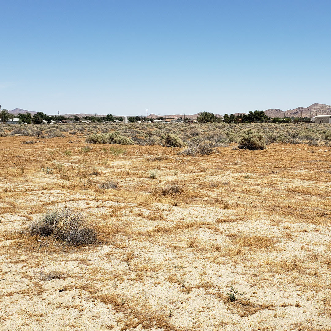 9.2 acres in Rosamond Utilities Nearby (video)