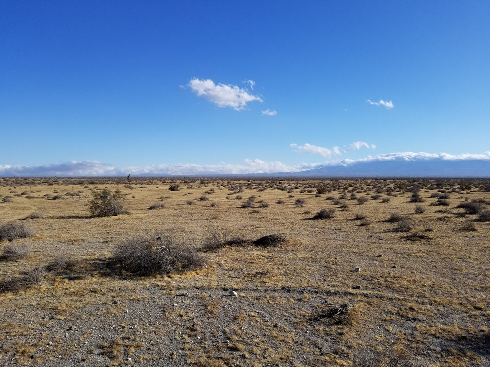10 Acres in El Mirage/Adelanto….SOLD