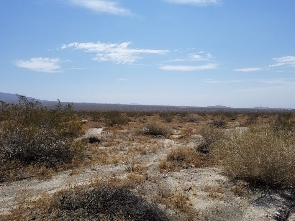 5 acres (Agricultural) in Indio