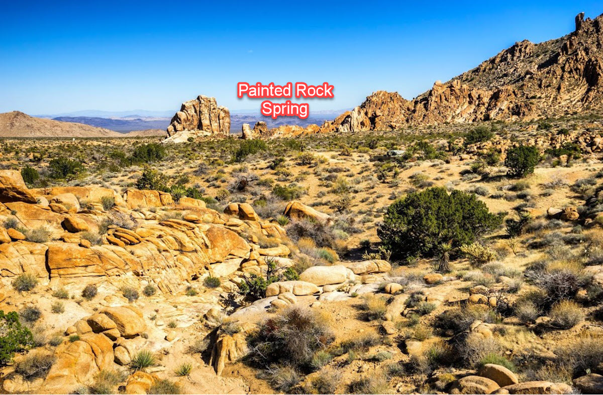 065427101_paintrock_1 19 Acres Camping/SUV Dreamland in Danby