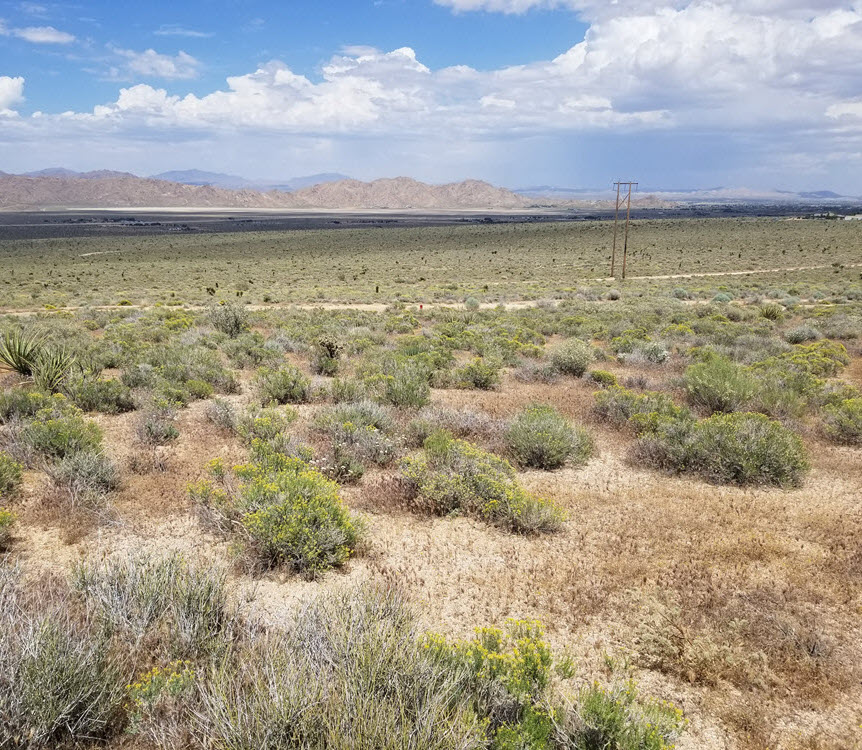 ImageOfProperty_1 5 acres in Lucerne Valley …SOLD…