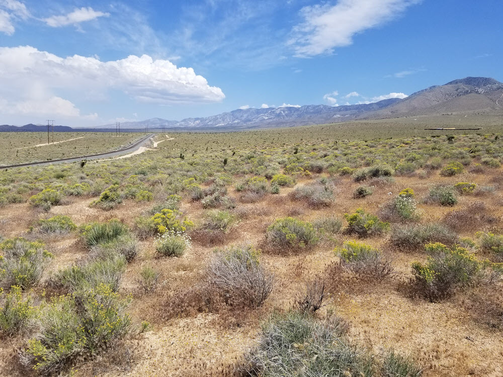 ImageOfProperty_2 5 acres in Lucerne Valley …SOLD…