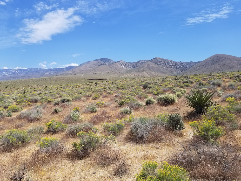 5 acres in Lucerne Valley …SOLD…