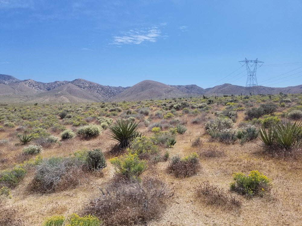 ImageOfProperty_4 5 acres in Lucerne Valley …SOLD…
