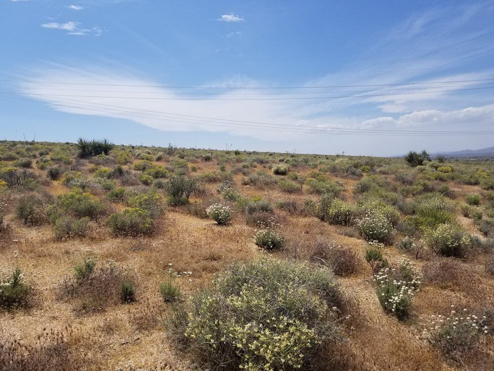 ImageOfProperty_5 5 acres in Lucerne Valley …SOLD…