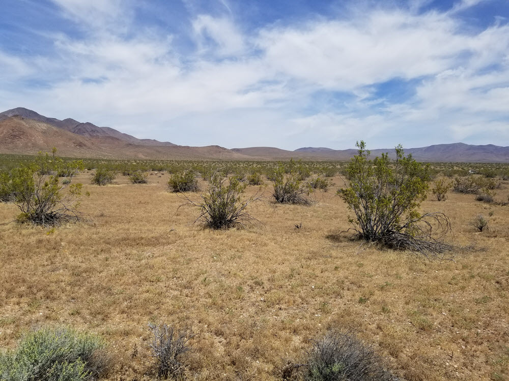 10 acres by Cuddeback Dry Lake Atolia, CA