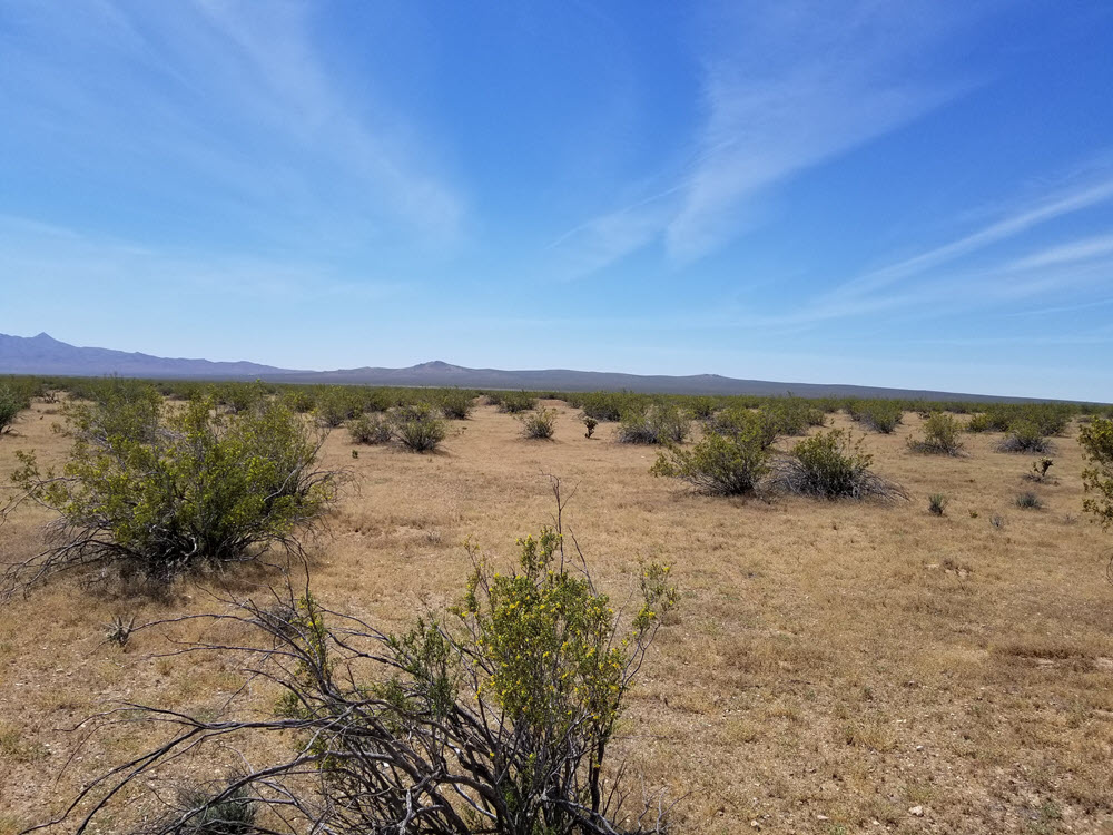 10 acres by Cuddeback Dry Lake Atolia, CA