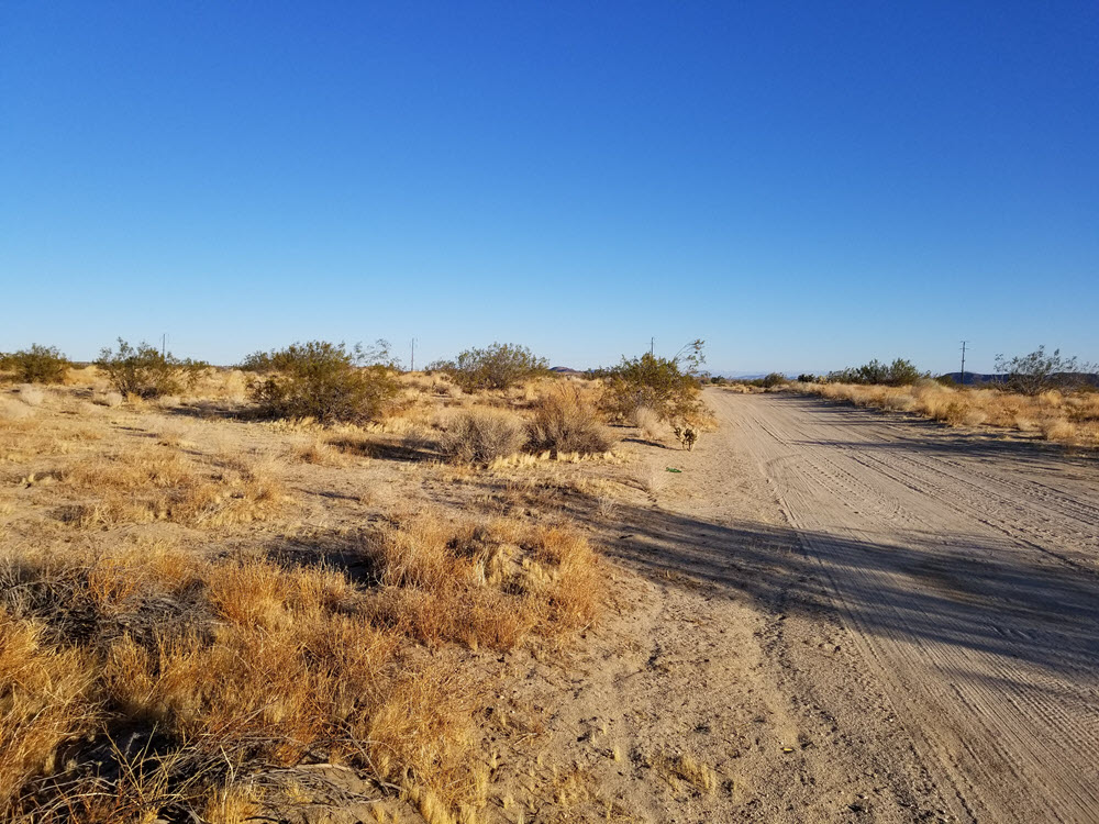 ImageOfProperty_060419139_1 1.25 acres in Joshua Tree