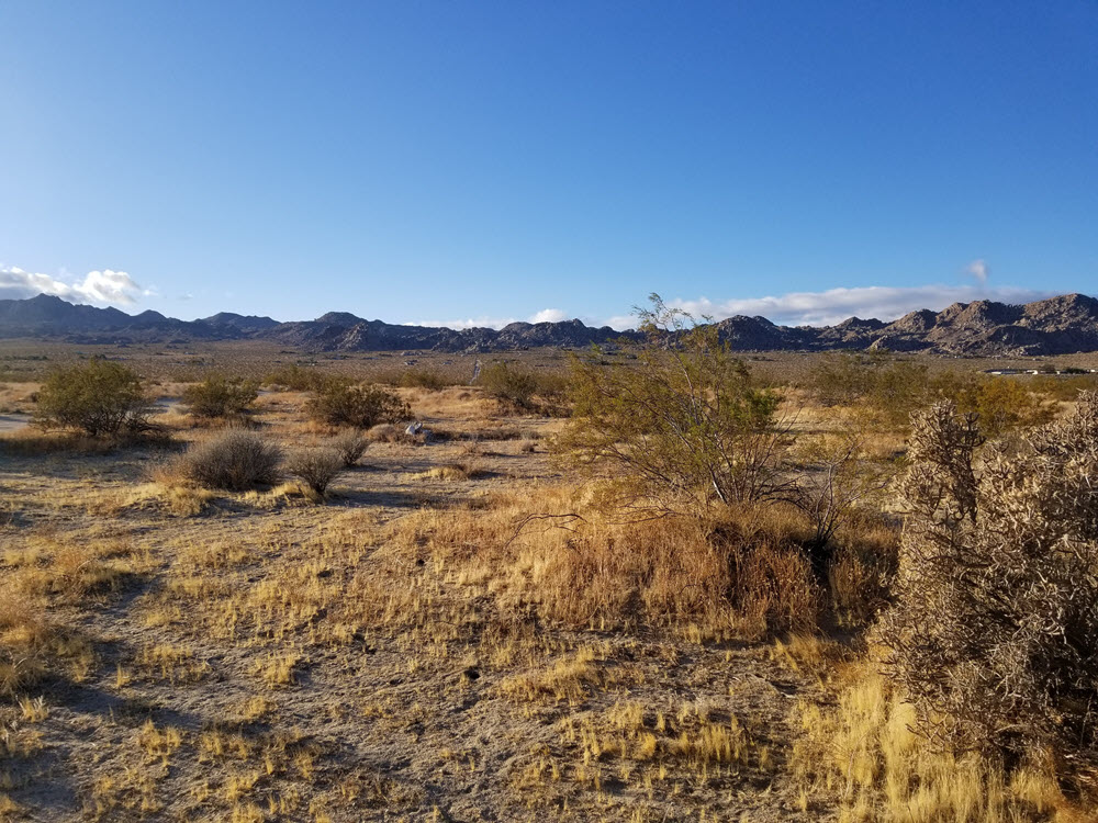 ImageOfProperty_060419139_4 1.25 acres in Joshua Tree