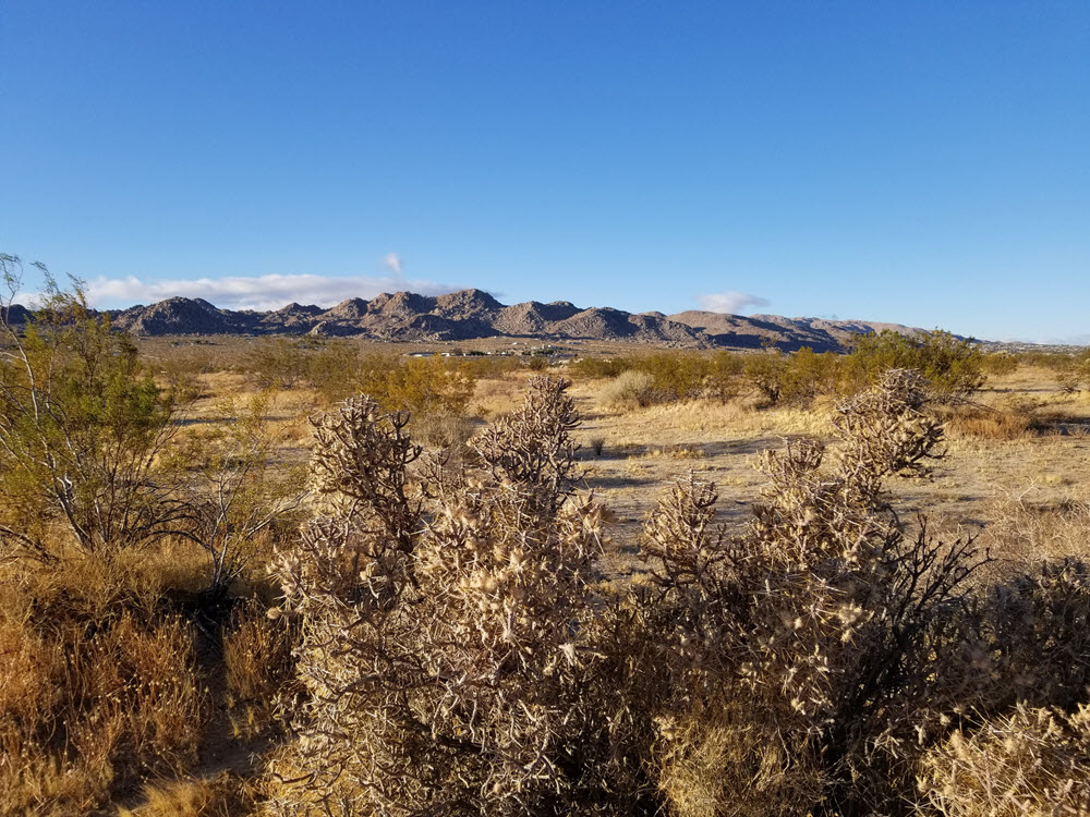 ImageOfProperty_060419139_5 1.25 acres in Joshua Tree