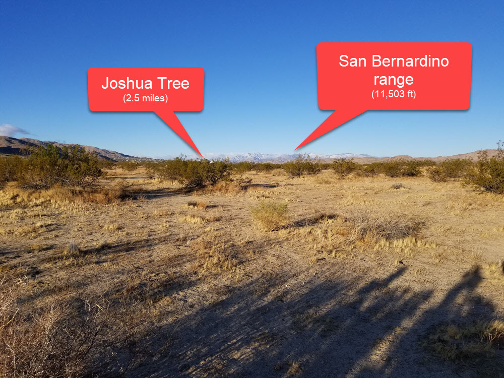 ImageOfProperty_060419139_7 1.25 acres in Joshua Tree