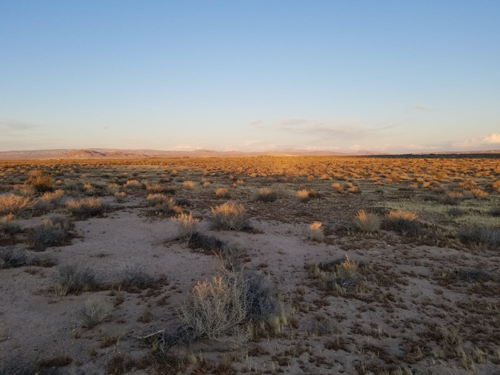 2.5 Acres South of Highway 58 near Barstow