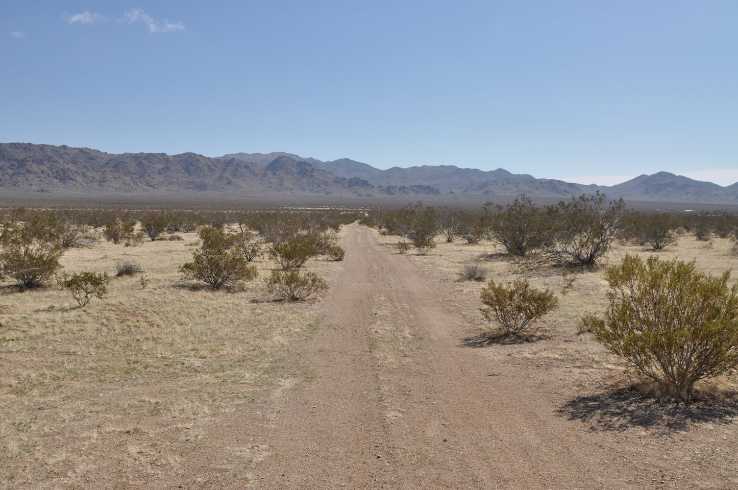 2.5 Acres in Lucerne Valley