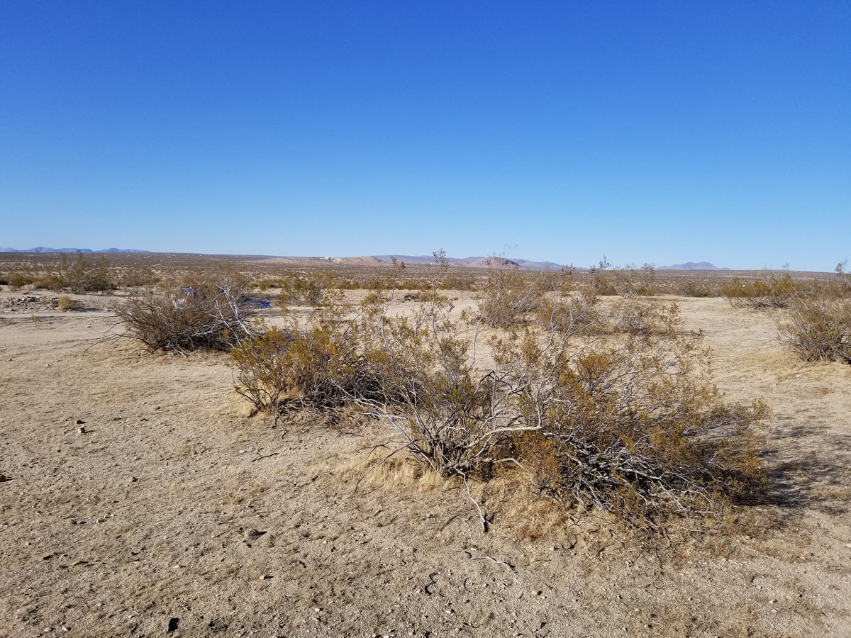 ImageOfProperty_3_28321002 24.57 Acres in California City, CA
