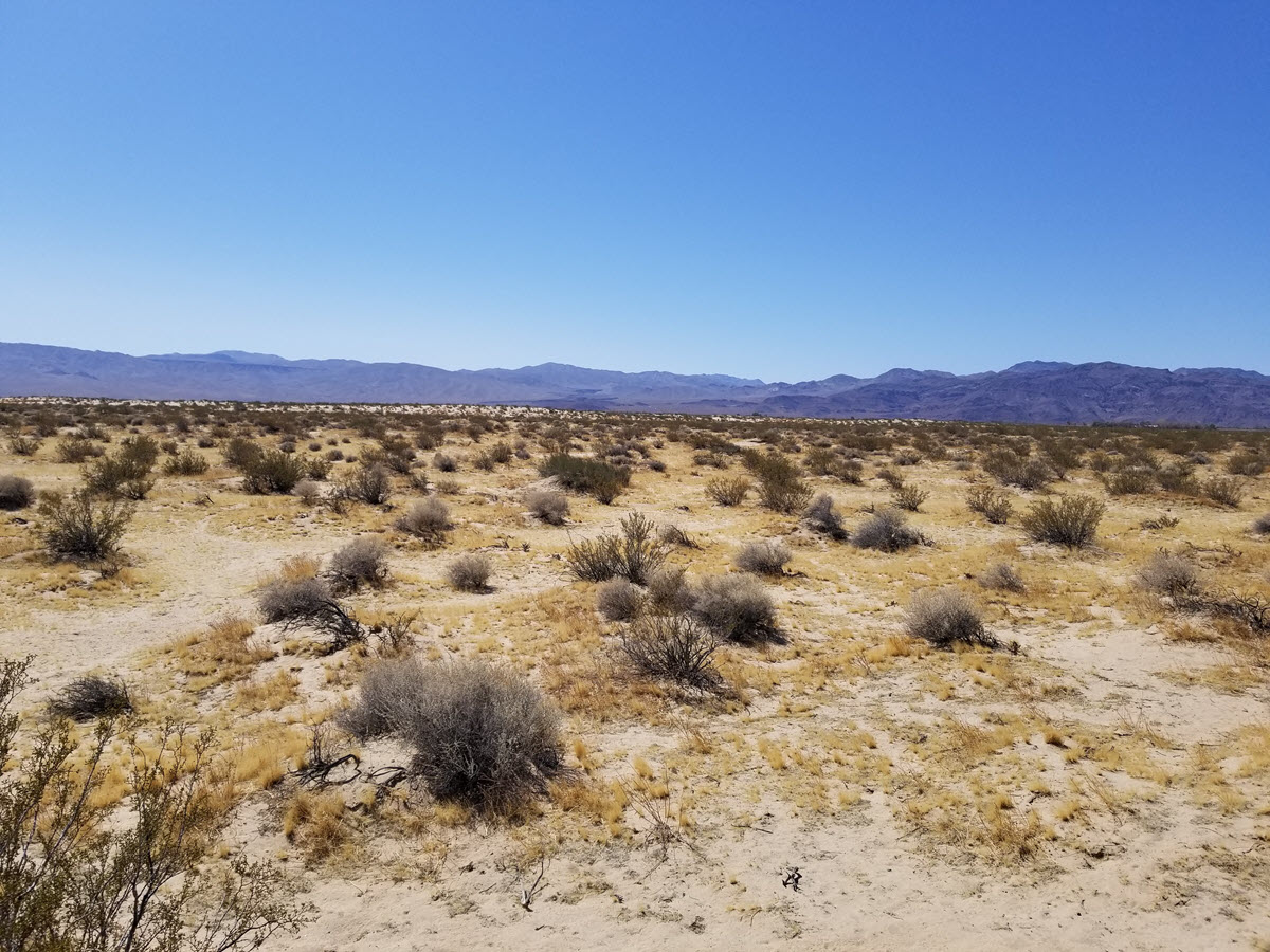 6.70 acres in Newberry Springs, CA