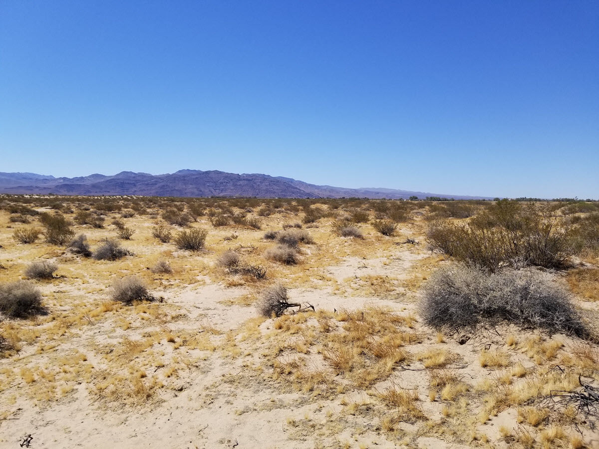 6.70 acres in Newberry Springs, CA