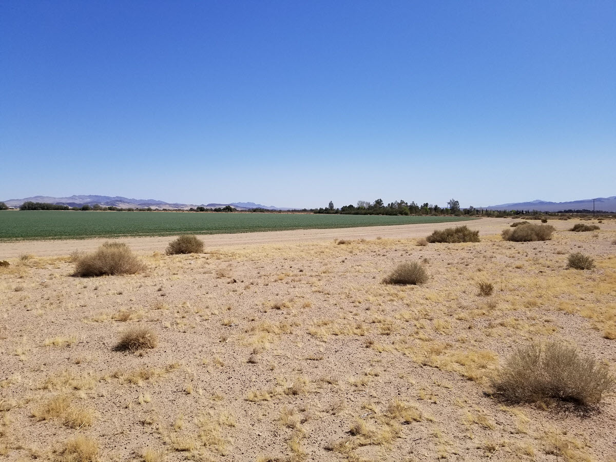 6.70 acres in Newberry Springs, CA