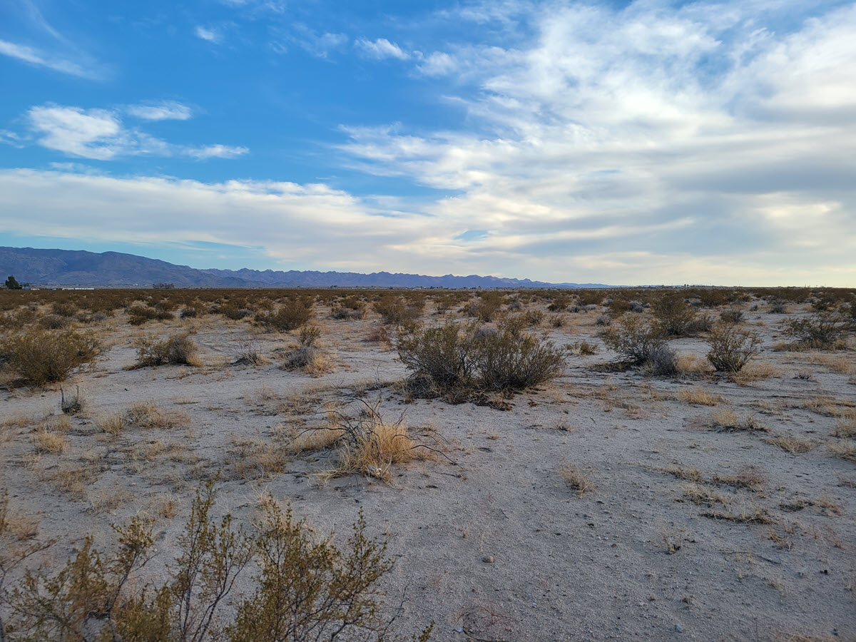 ImageOfProperty_3_061129156 5 Acres in Twentynine Palms, CA