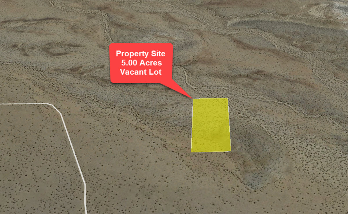 5 acres, Wild Wash Rd & Hwy 15, near Helendale, CA