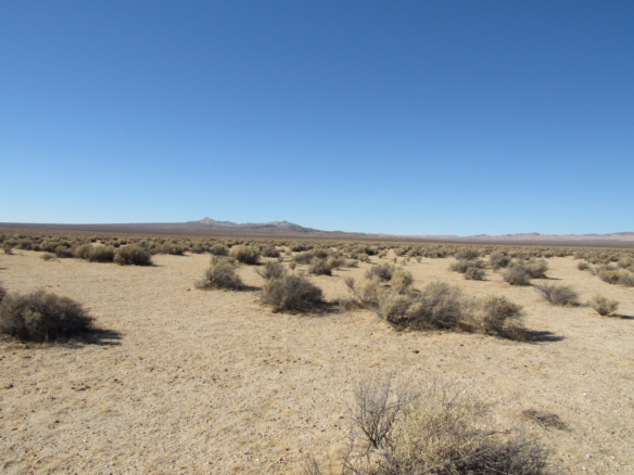 5 Acres Northwest of Barstow, CA