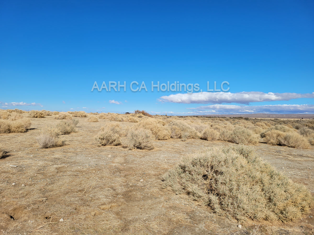 ImageOfProperty_2_3368023037 5 Acres West of Lancaster, CA