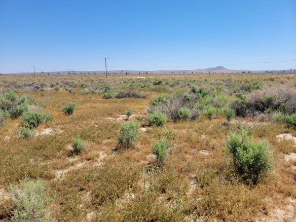 5.17 acres in Lancaster, CA