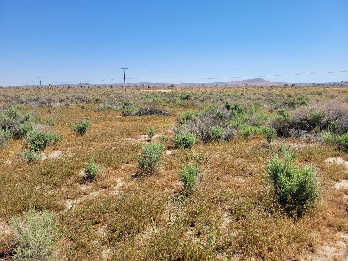 5.17 acres in Lancaster, CA