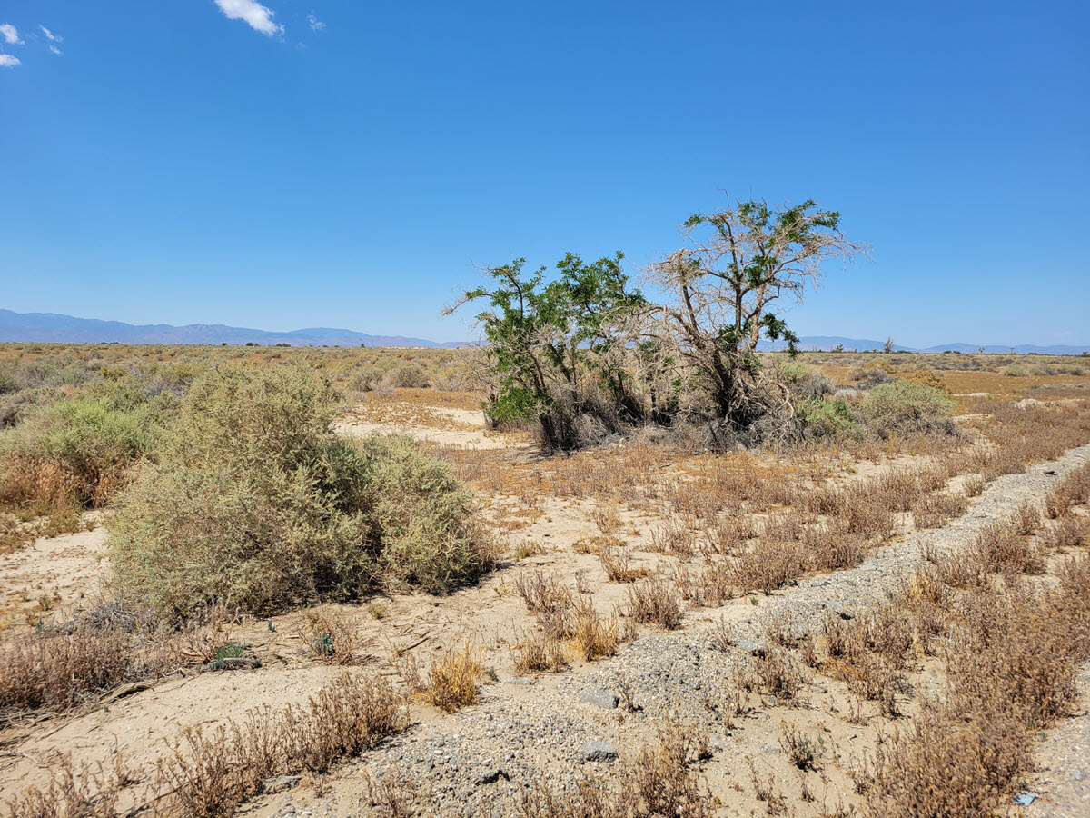 2.1 Flat acres, Easy access (East of Lancaster)