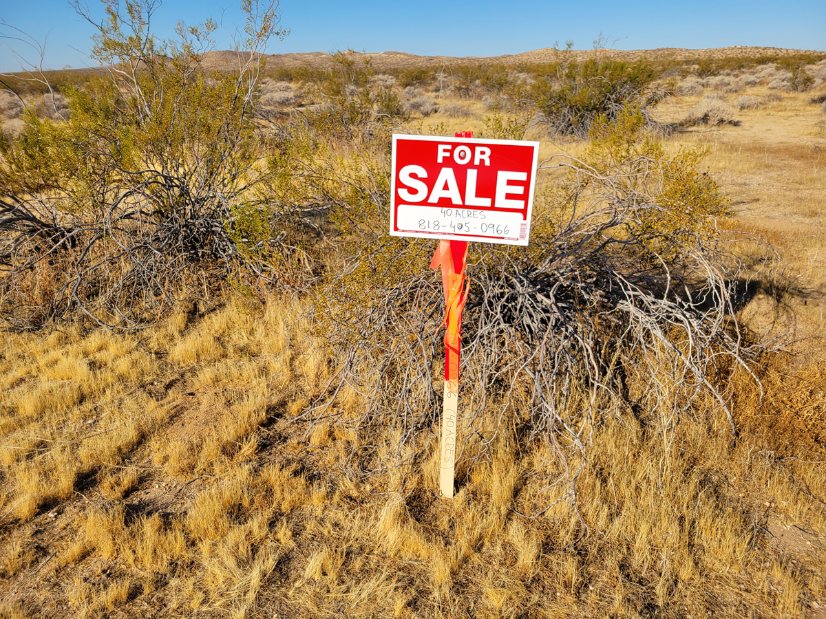 — 40 Acre Investor’s Dream, Lockhart