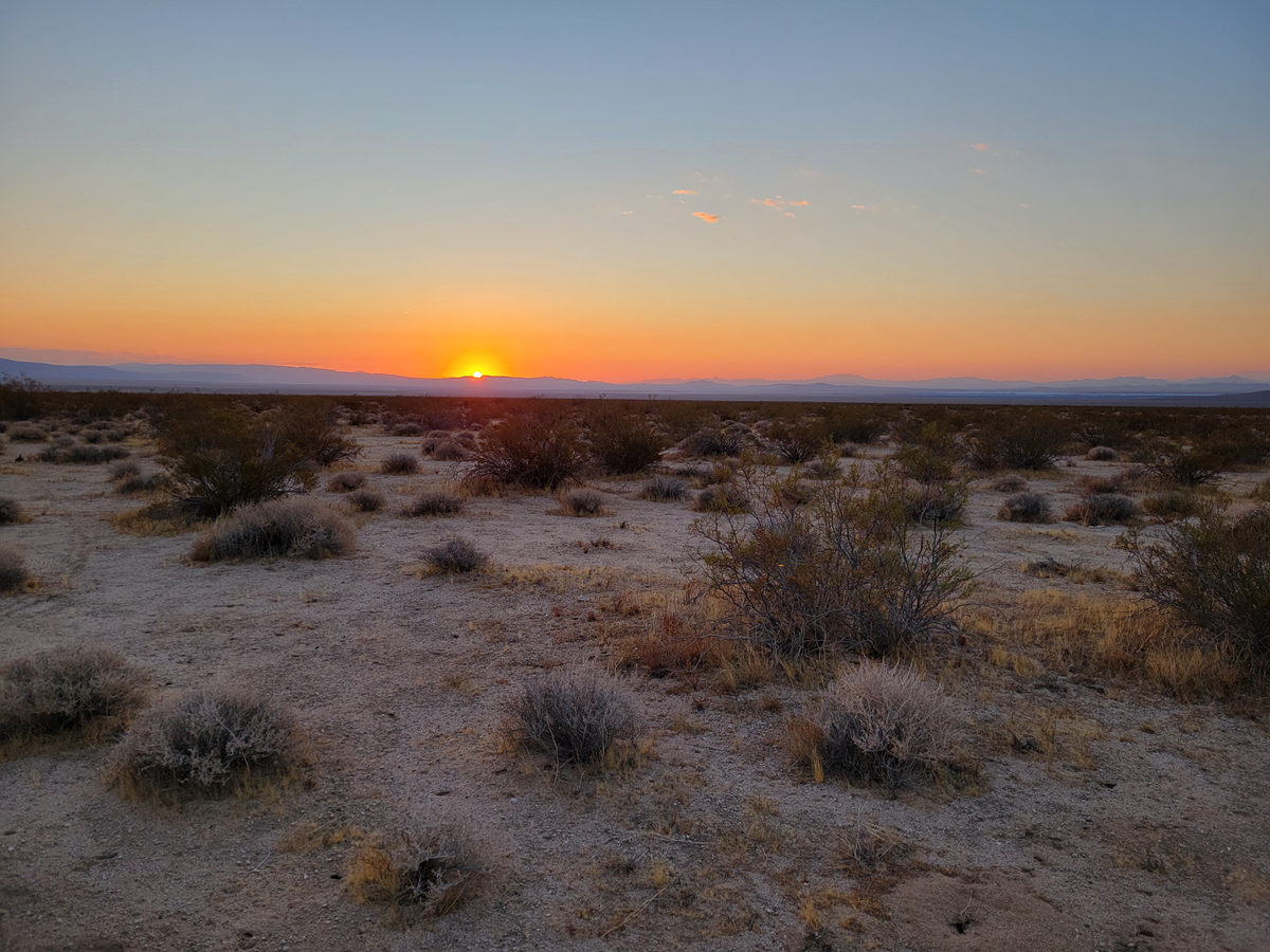 — 40 Acre Investor’s Dream, Lockhart