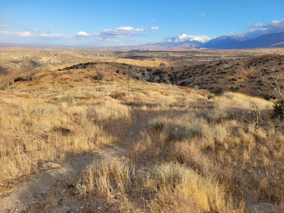 20 Acres Nature Masterpiece, Pearblossom (LA County), Great Price