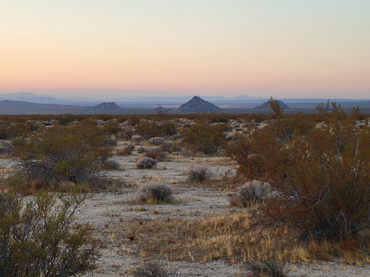 — 40 Acre Investor’s Dream, Lockhart