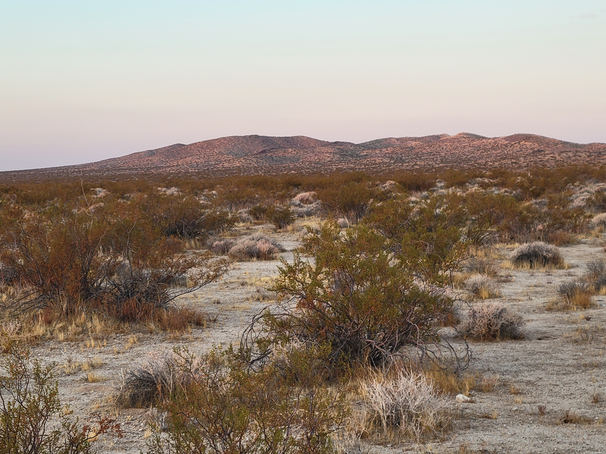 — 40 Acre Investor’s Dream, Lockhart