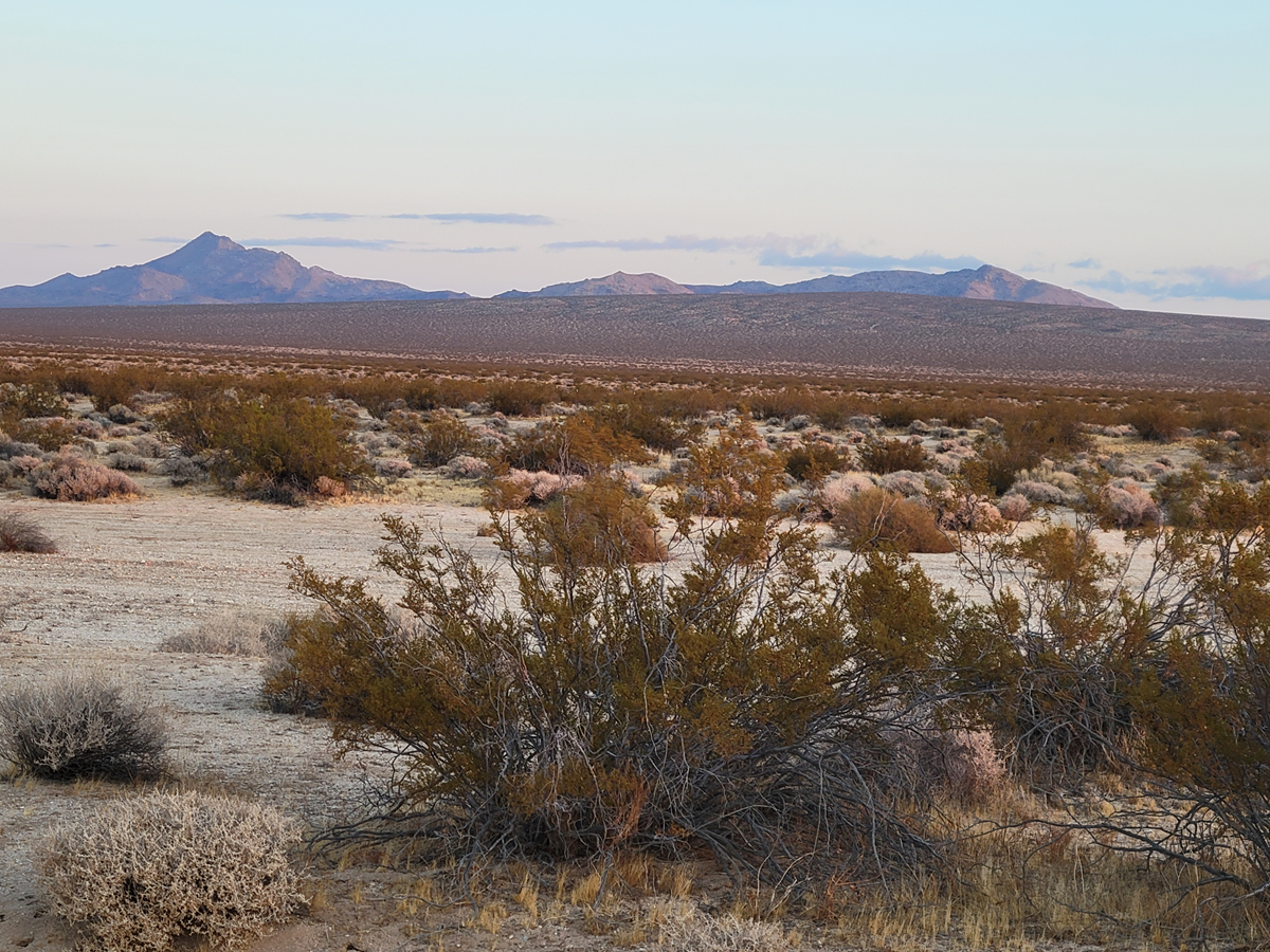 — 40 Acre Investor’s Dream, Lockhart